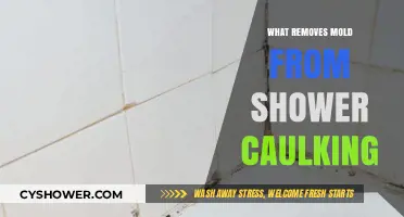 Effective Ways to Remove Mold from Shower Caulking Easily