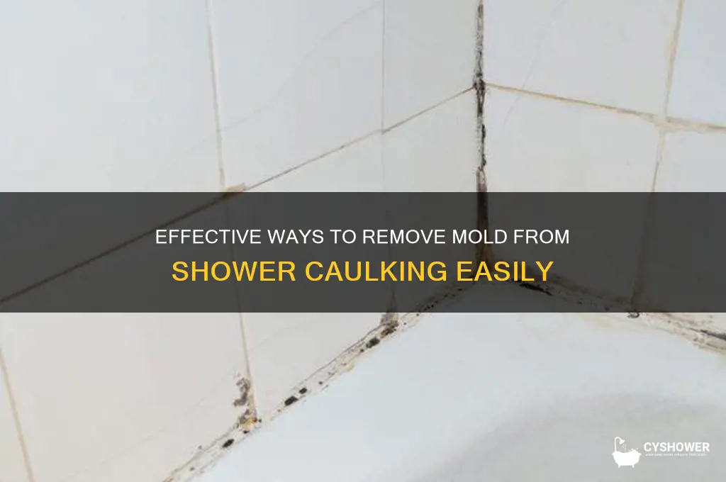 what removes mold from shower caulking