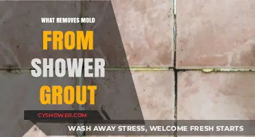 Effective Ways to Remove Mold from Shower Grout Easily