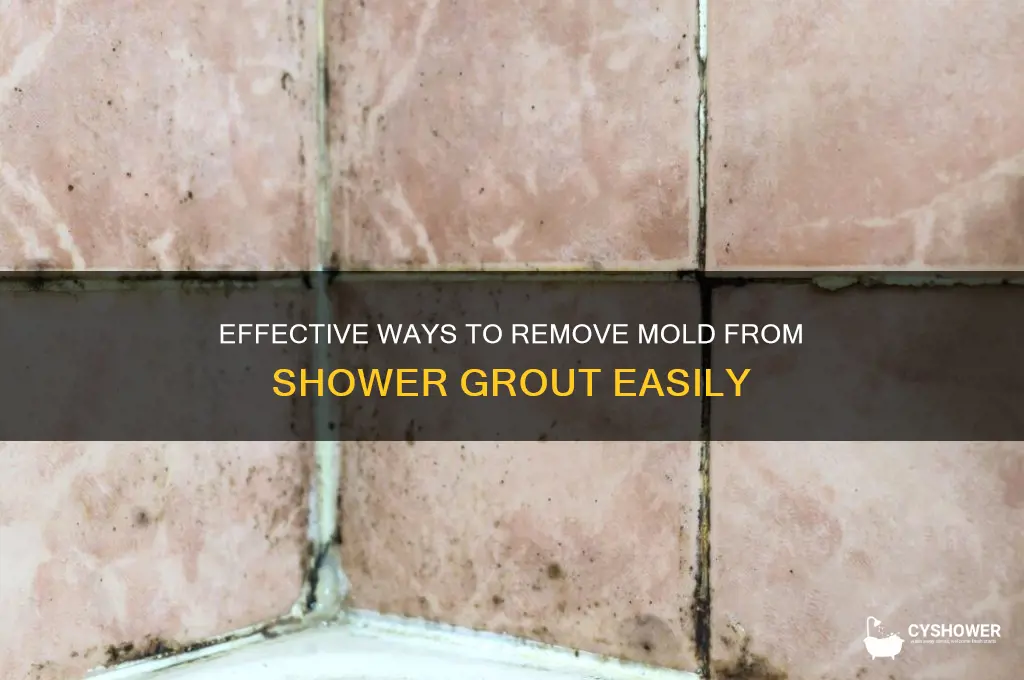 what removes mold from shower grout