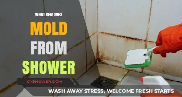 Effective Ways to Remove Mold from Your Shower Quickly and Safely
