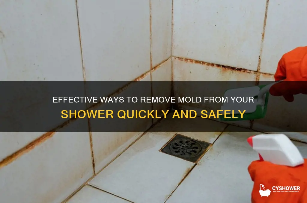what removes mold from shower