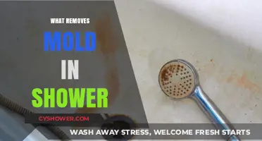 Effective Ways to Remove Mold in Your Shower: A Complete Guide