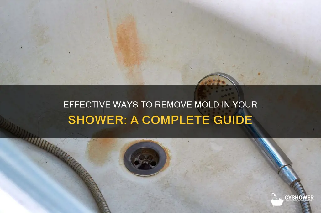 what removes mold in shower