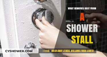 Effective Ways to Remove Rust from Your Shower Stall Easily