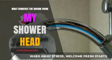 Effective Ways to Remove Brown Stains from Your Shower Head