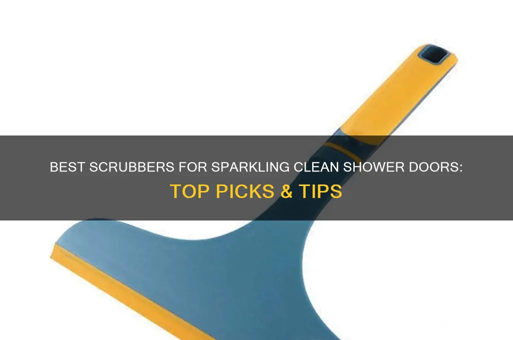 what scrubber good for shower door