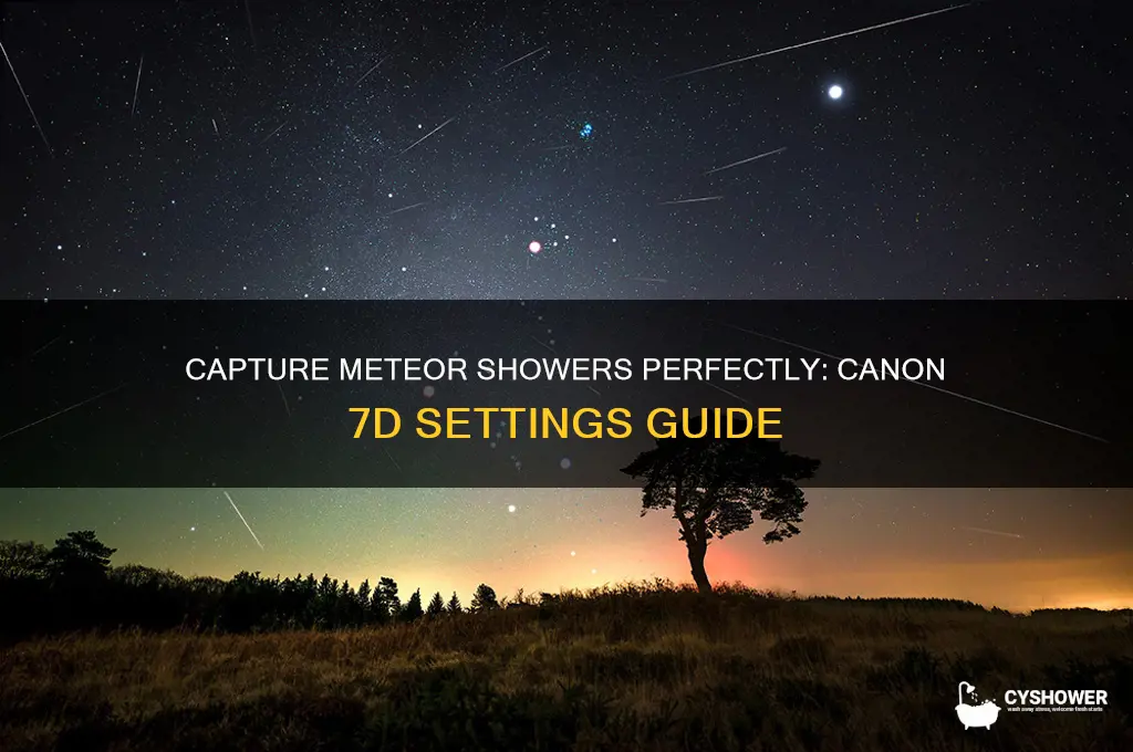 what setting to set canon 7d for meteor shower