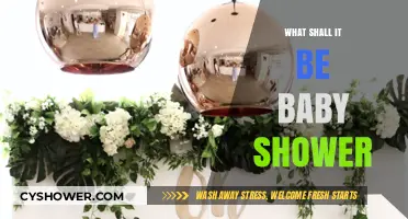 Choosing the Perfect Theme for Your Baby Shower Celebration