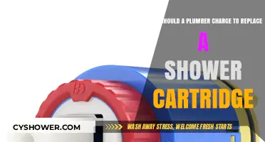 Fair Pricing Guide: Plumber Costs for Shower Cartridge Replacement