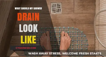 Understanding the Ideal Shower Drain Appearance and Maintenance Tips