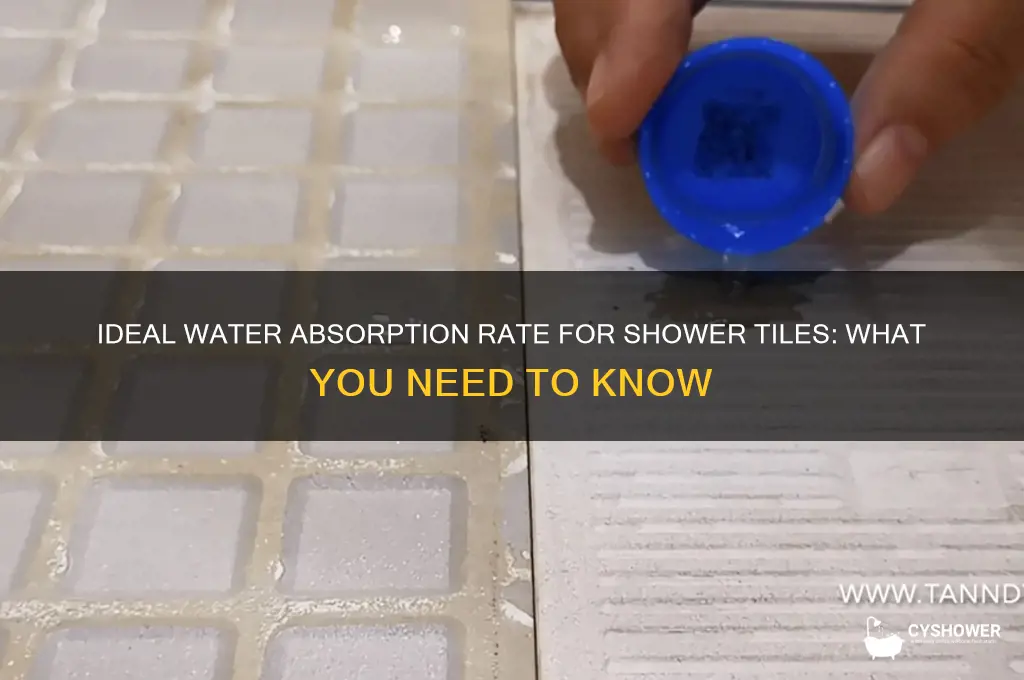 what should water absorption rate be on shower tile