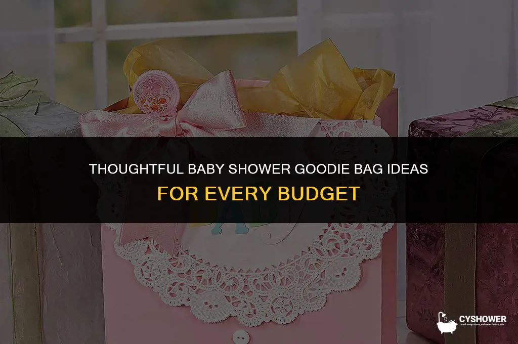 what should you put in a baby shower goodie bag