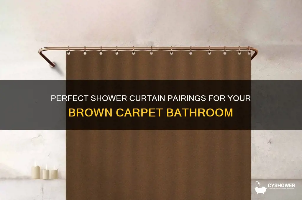what shower curtain matches a brown carpet