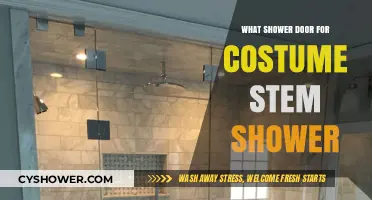 Choosing the Perfect Shower Door for Your Custom Steam Shower Setup