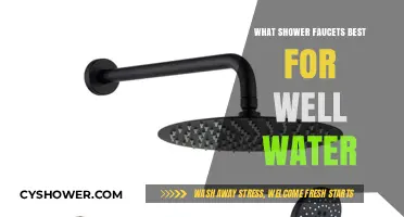 Best Shower Faucets for Well Water: Top Picks and Tips