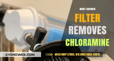 Best Shower Filters to Effectively Remove Chloramine from Your Water