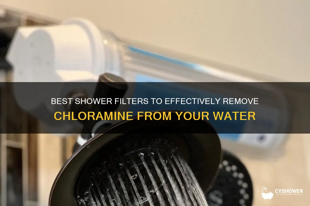 what shower filter removes chloramine