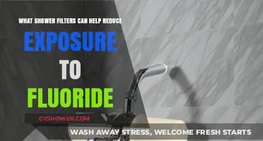 Effective Shower Filters to Minimize Fluoride Exposure in Your Home