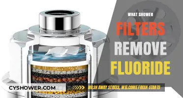 Effective Shower Filters That Successfully Remove Fluoride from Water