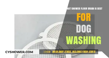 Best Shower Floor Drains for Easy and Efficient Dog Washing