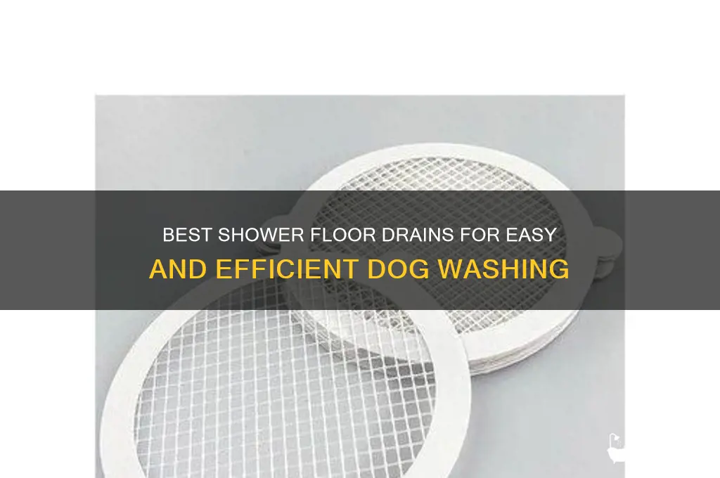 what shower floor drain is best for dog washing