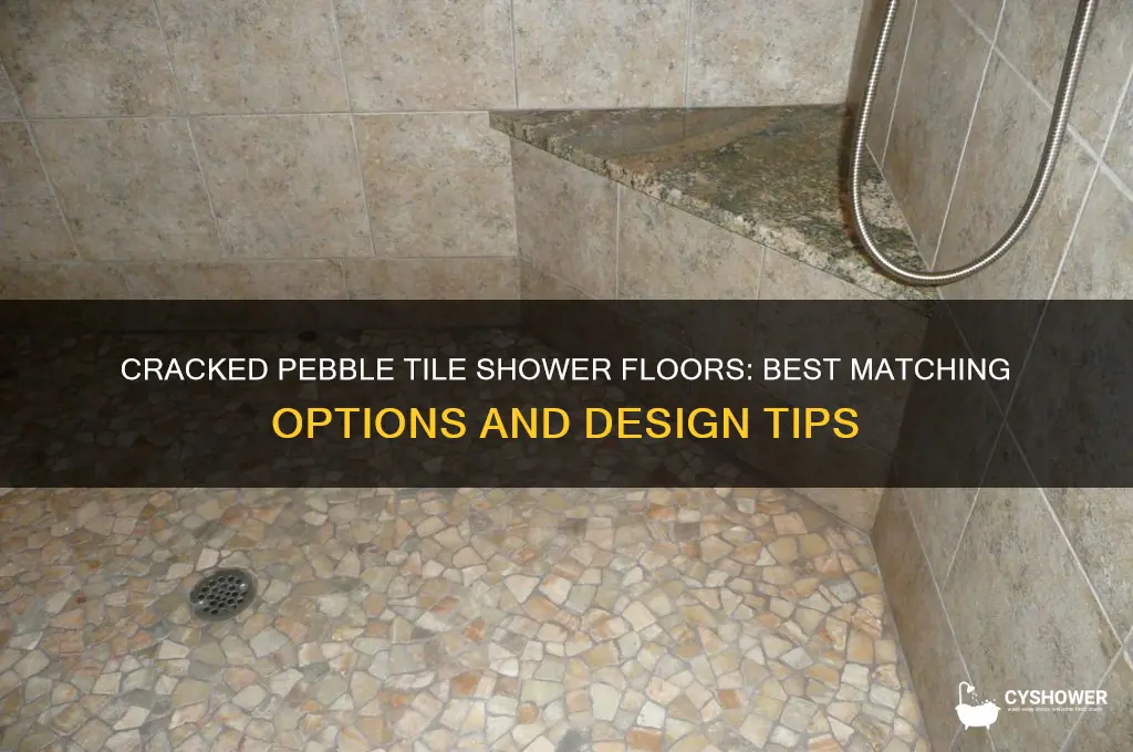 what shower floor goes with cracked pebble tile