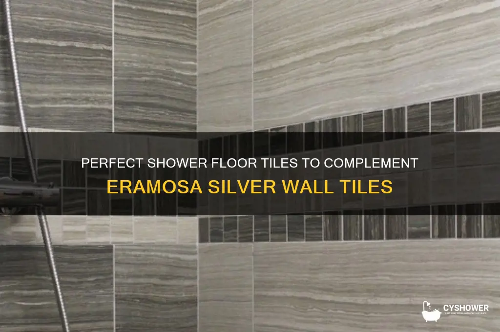 what shower floor tiles go with eramosa silver wall tiles