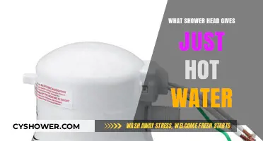 Best Shower Heads for Consistent Hot Water Only: Top Picks