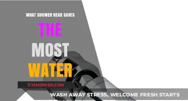 Eco-Friendly Shower Heads: Top Picks for Maximum Water Conservation