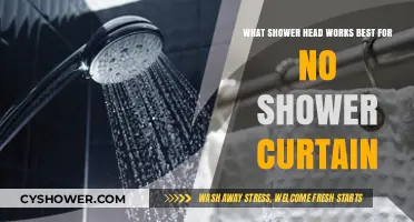 Best Shower Heads for Curtain-Free Showers: Top Picks and Tips