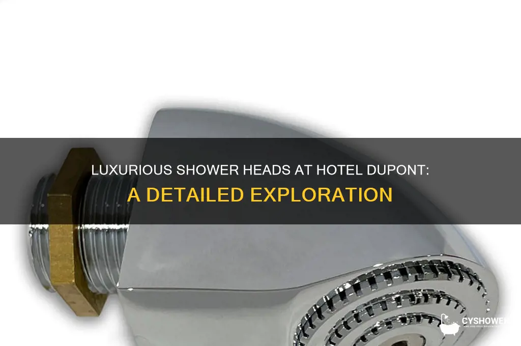 what shower heads are in the hotel dupont