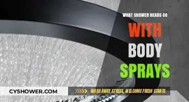 Best Shower Heads to Pair with Body Sprays for Ultimate Luxury