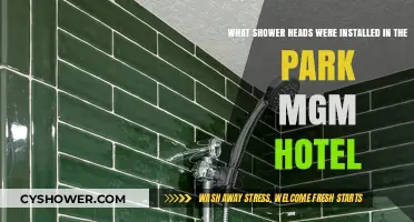 Park MGM's Shower Heads: A Look at the Installed Fixtures