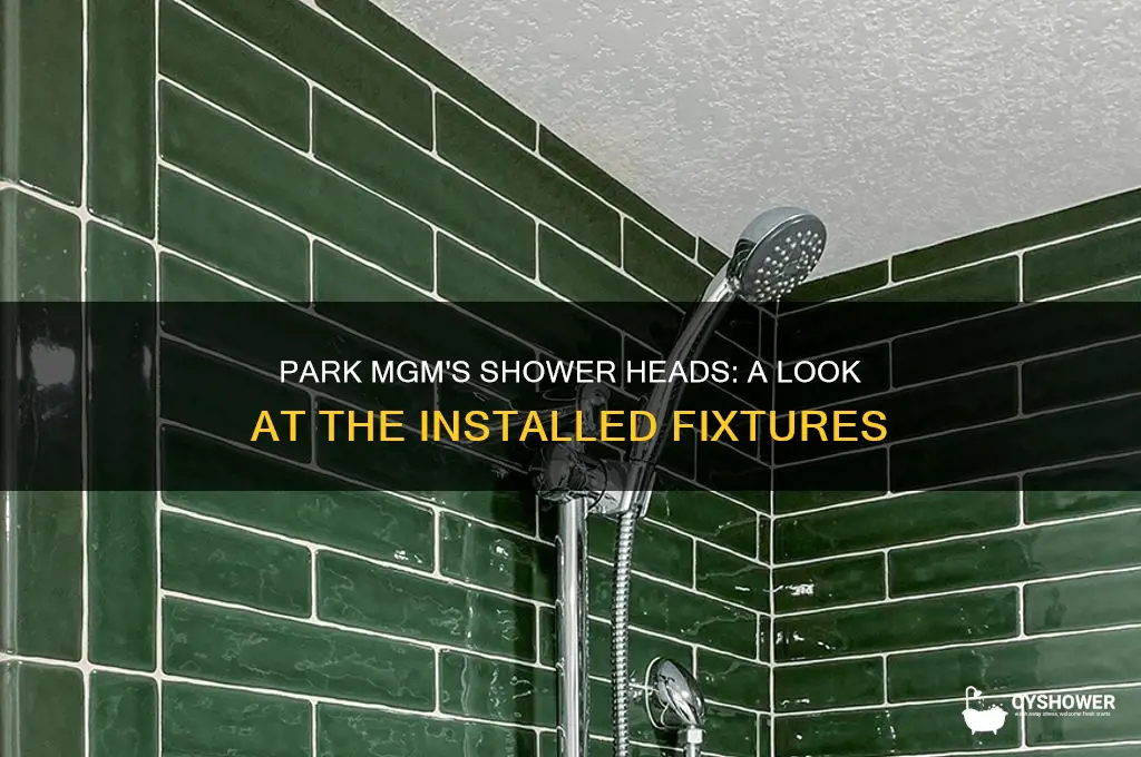 what shower heads were installed in the park mgm hotel