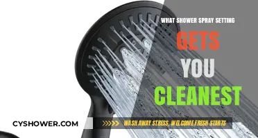 Best Shower Spray Setting for Maximum Cleanliness: Expert Tips