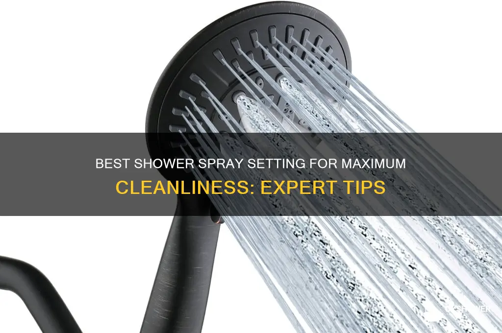 what shower spray setting gets you cleanest