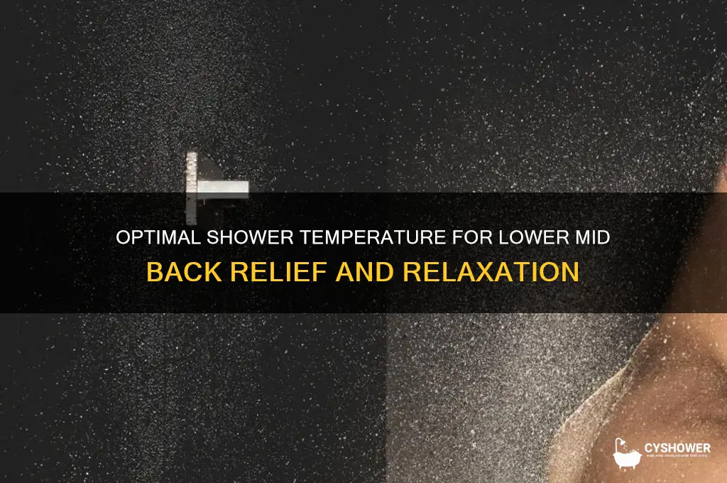 what shower water temperature should hit your lower mid back