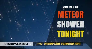 Tonight's Meteor Shower: Which Side of the Sky to Watch