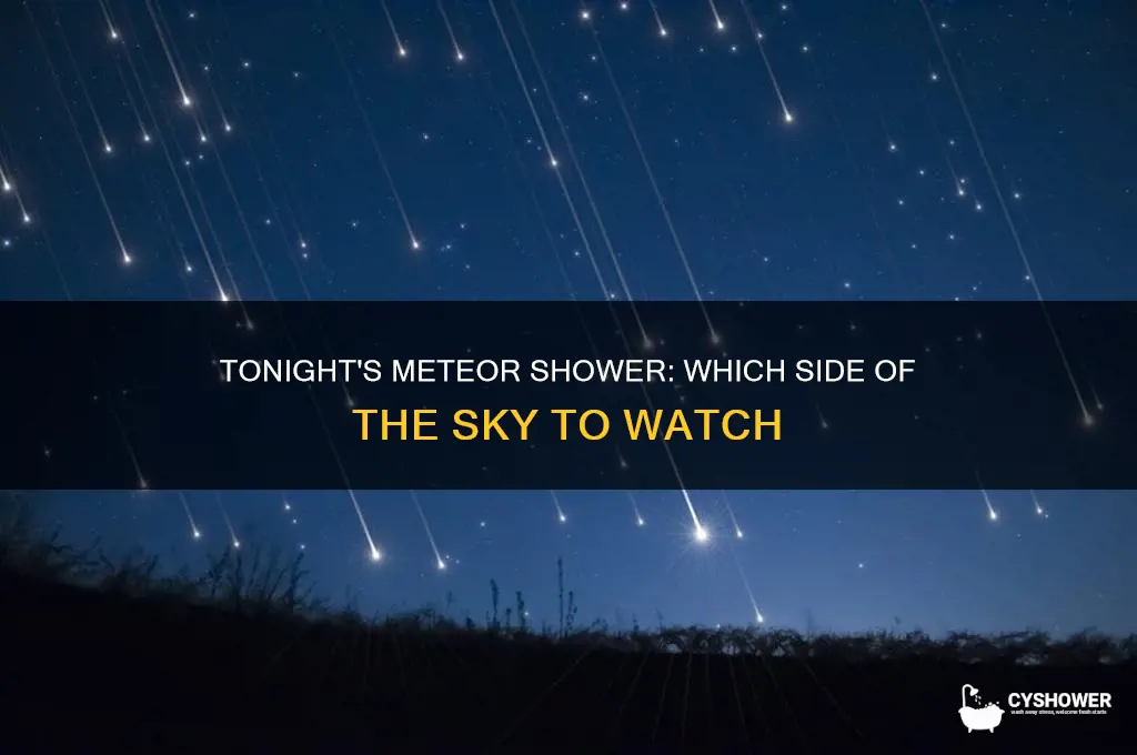 what side is the meteor shower tonight