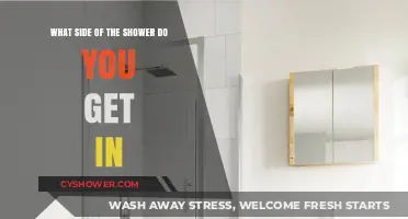 Shower Entry Dilemma: Which Side Do You Choose and Why?