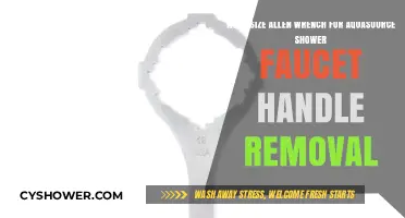 Aquasource Shower Faucet Handle Removal: What Size Allen Wrench?