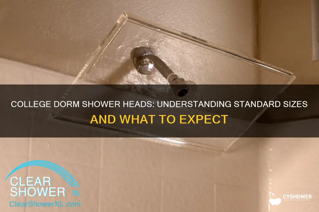 what size are college dorm shower heads
