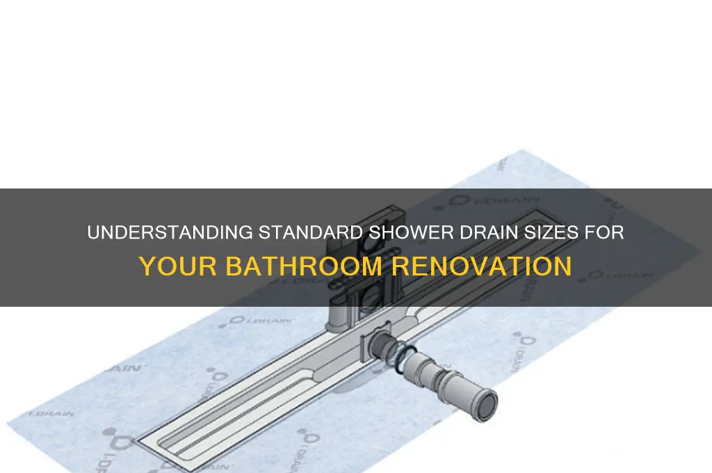 what size are shower drains