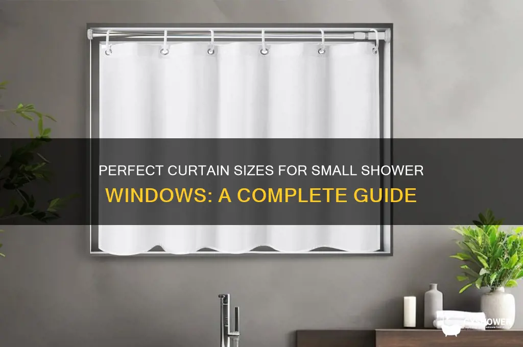 what size curtain for small shower window