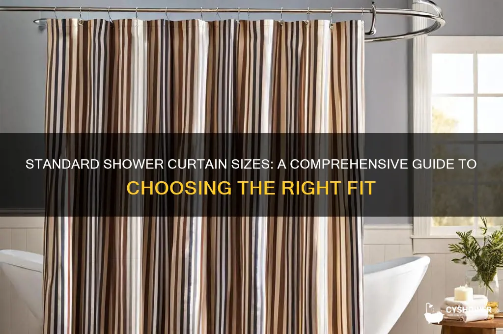 what size do shower curtains come in