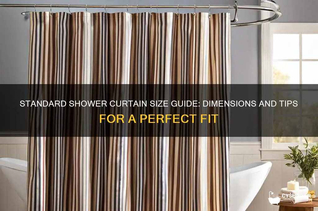what size is a tandard shower curtain