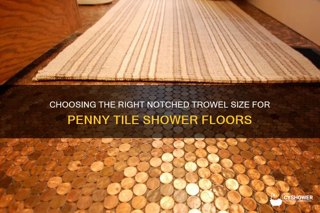 what size notched trowel for penny tile on shower floor