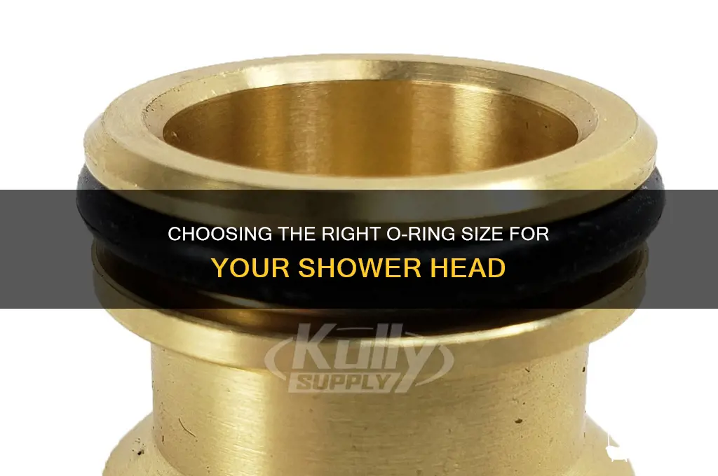 what size o-ring for shower head