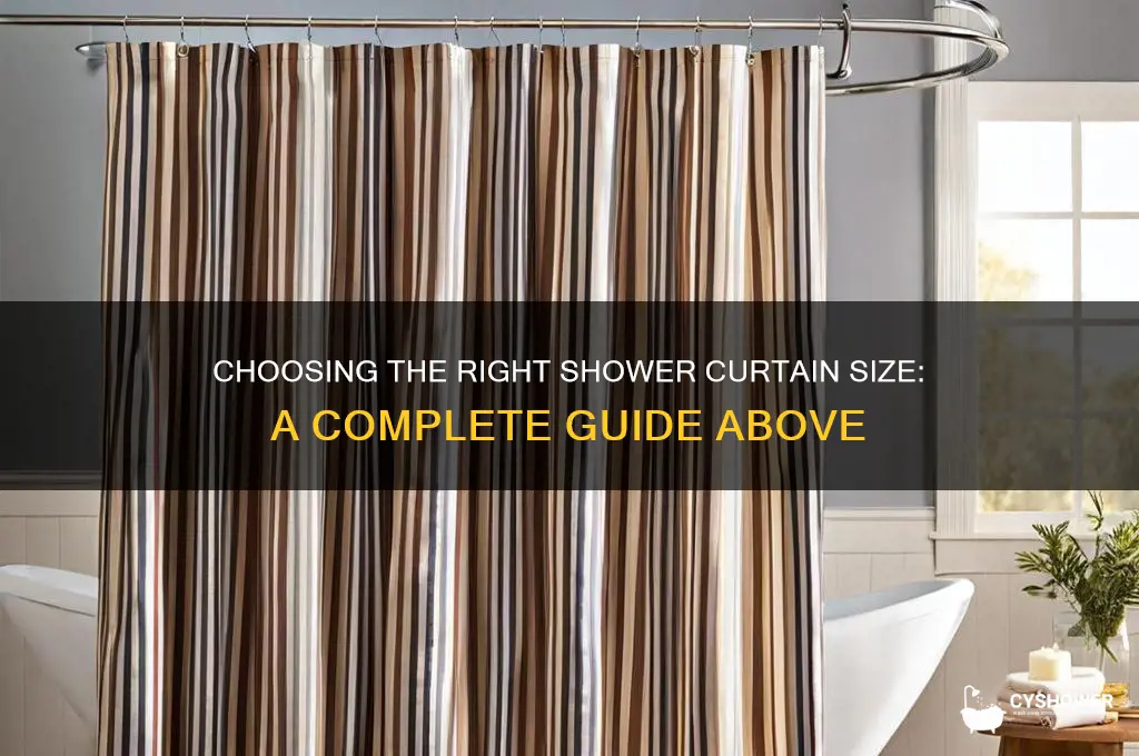 what size shower curtain above